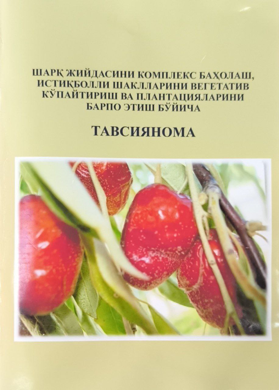 Шарқ жийдасини комплекс баҳолаш, истиқболли шаклларини вегетатив кўпайтириш ва плантацияларини барпо этиш бўйича тавсиянома