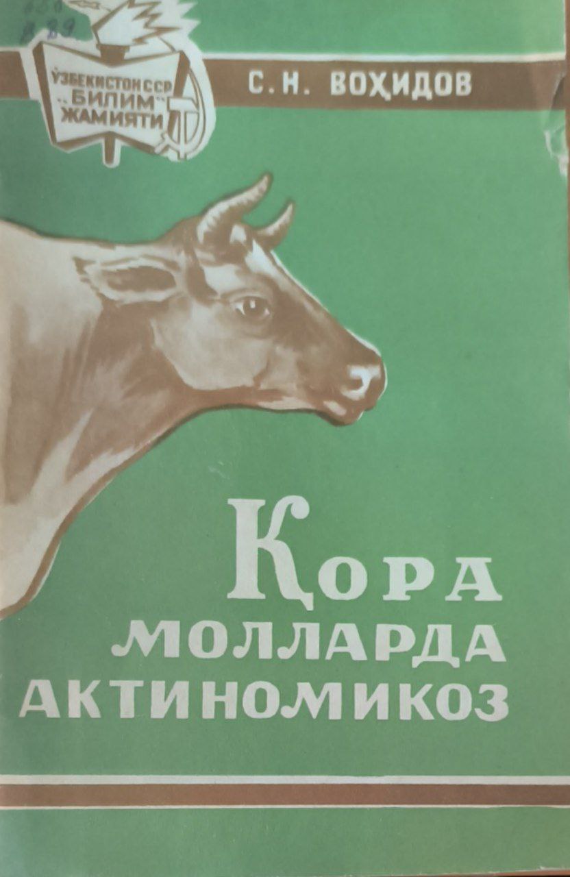 Қорамолларда актиномикоз