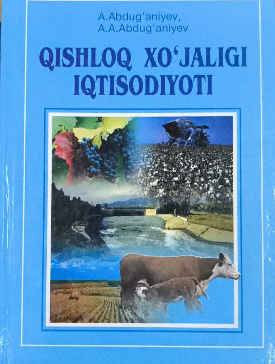 Qishloq xo'jaligi iqtisodiyoti