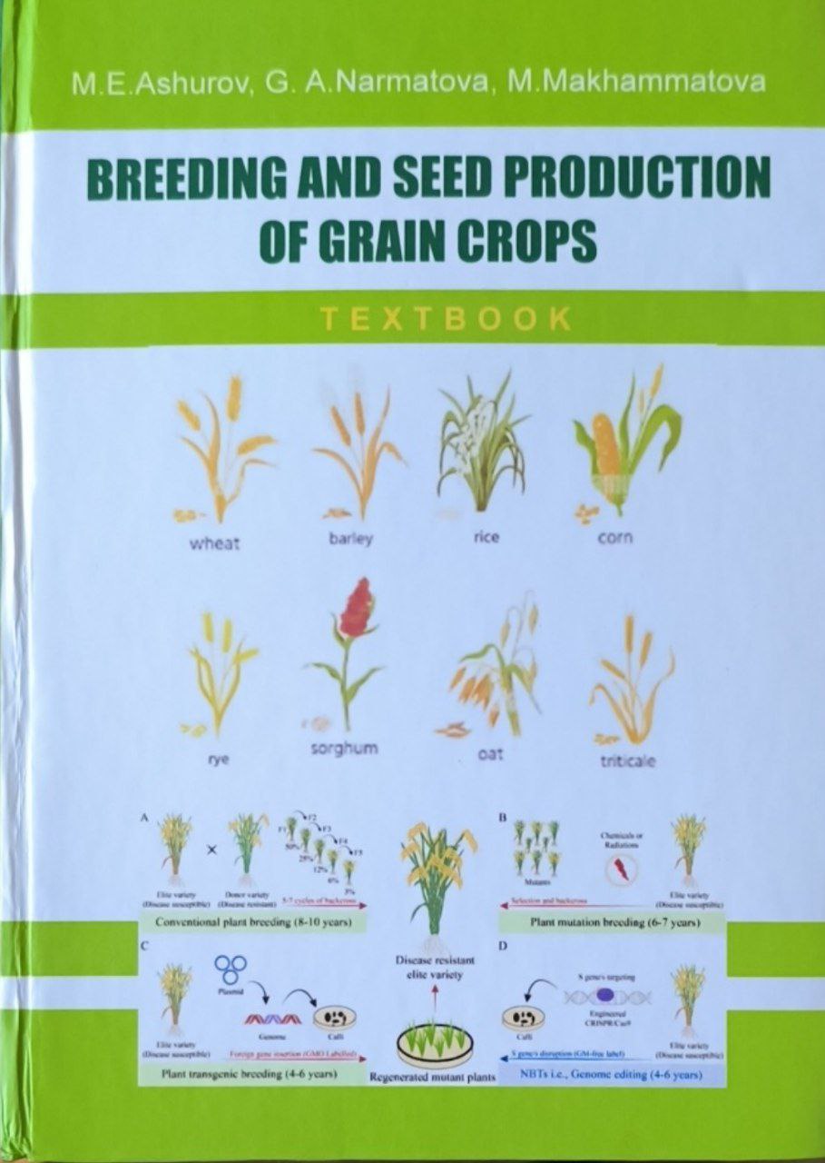Breeding and seed production of grain crops