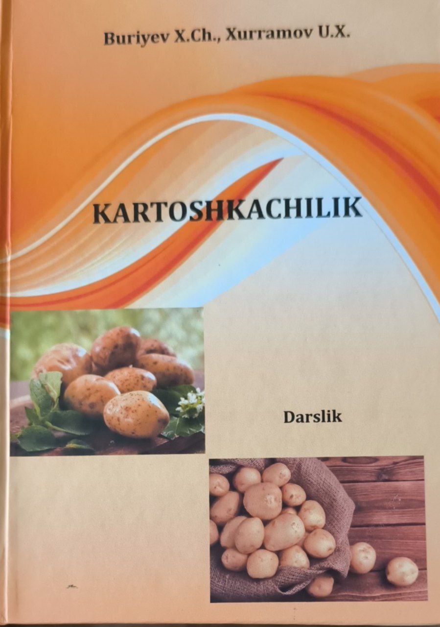 Kartoshkachilik