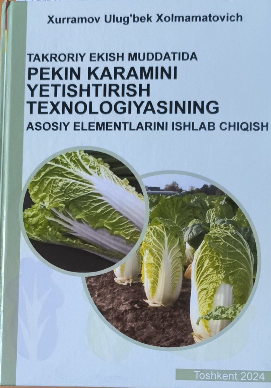 Takroriy ekish muddatida Pekin karamini etishtirish texnologiyasining asosiy elementlarini ishlab chiqish