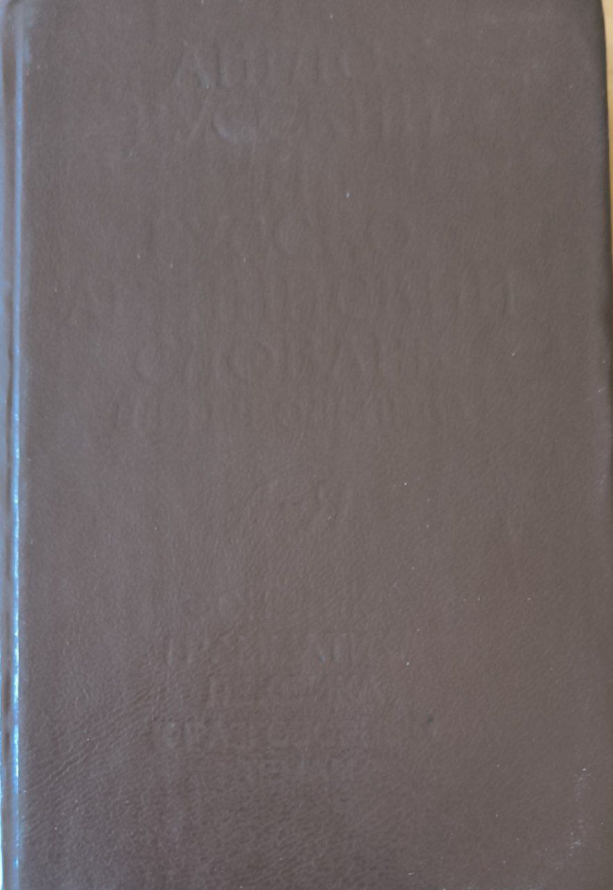 Англо-русский и русско-английский словарь для школьника.