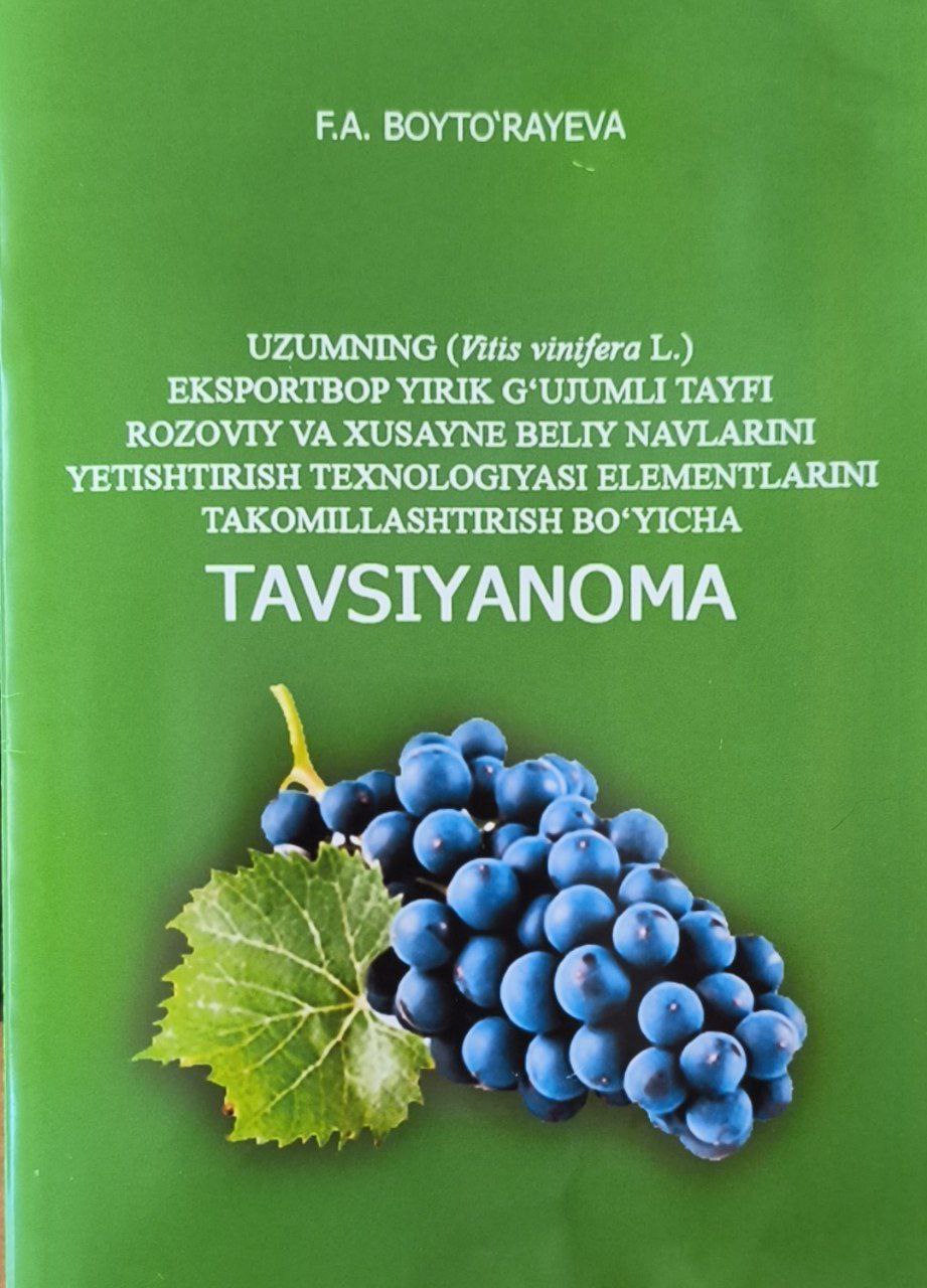 Uzumning (Vitis vinifera) eksportbop  yirik g'ujumli Tayfi rozoviy va Xusayni beliy navlarini yetishtirish texnologiyasi elementlarini takomillashtirish bo'yicha tavsiyanoma