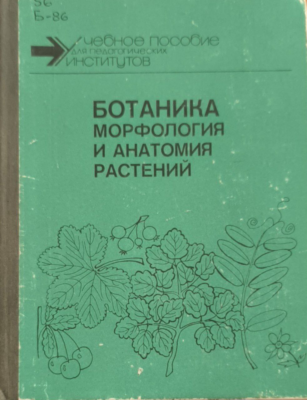Ботаника: морфология и анатомия растений. 2-е изд., перераб.