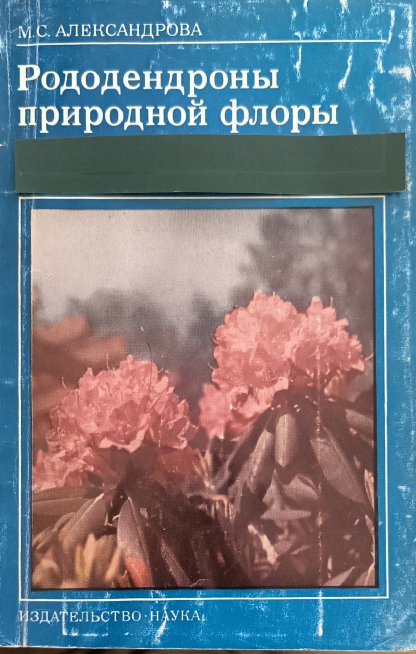 Рододендроны природной флоры  Россия