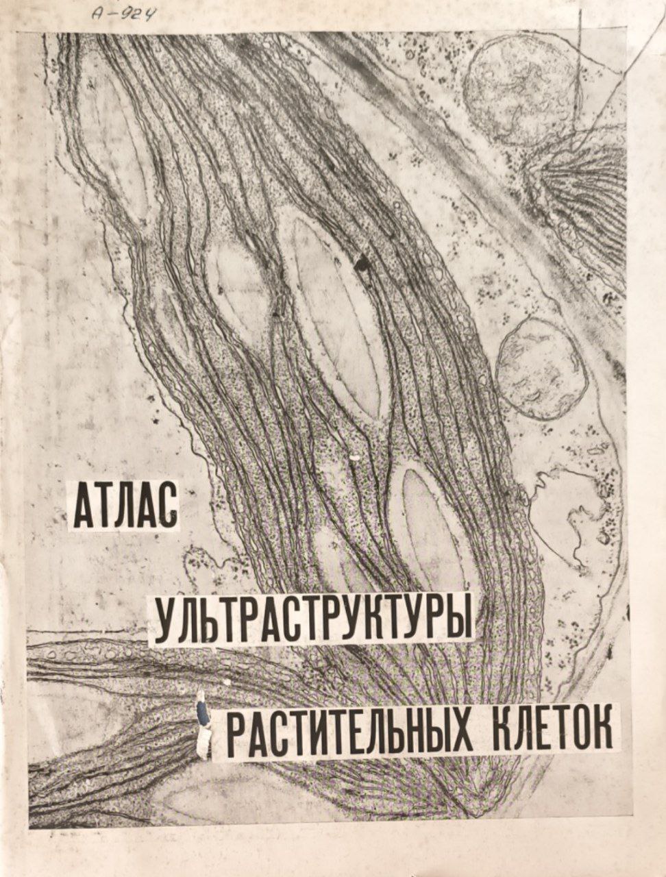 Атлас ультраструктуры растительных клеток