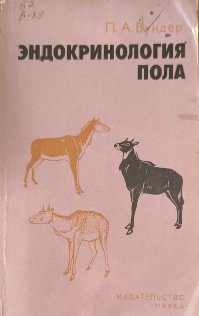 Эндокринология пола