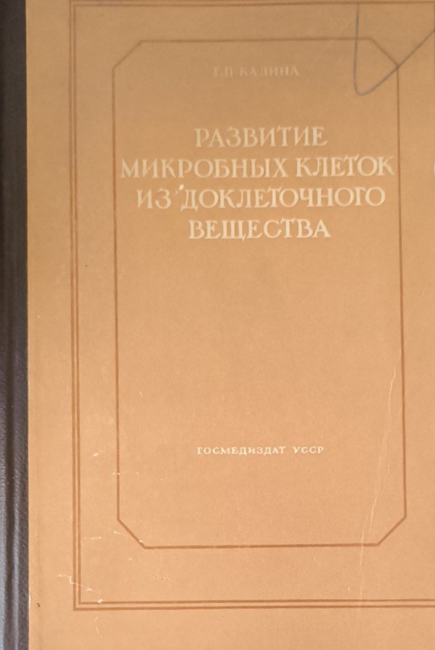 Развитие микробных клеток из доклеточного вещества