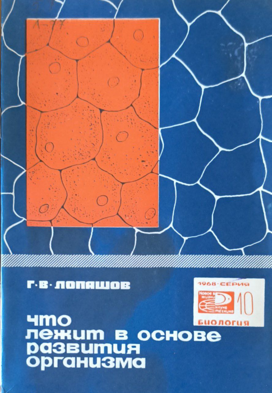 Что лежит в основе развития организма