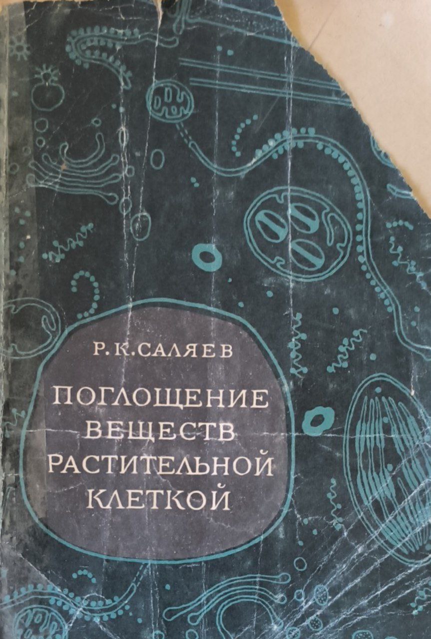 Поглощение веществ растительной клеткой