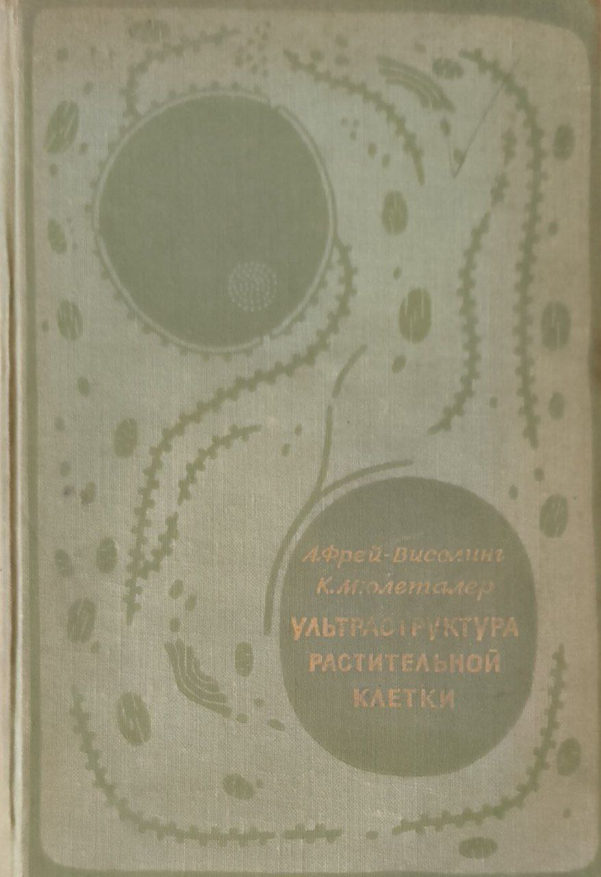 Ультраструктура растительной клетки