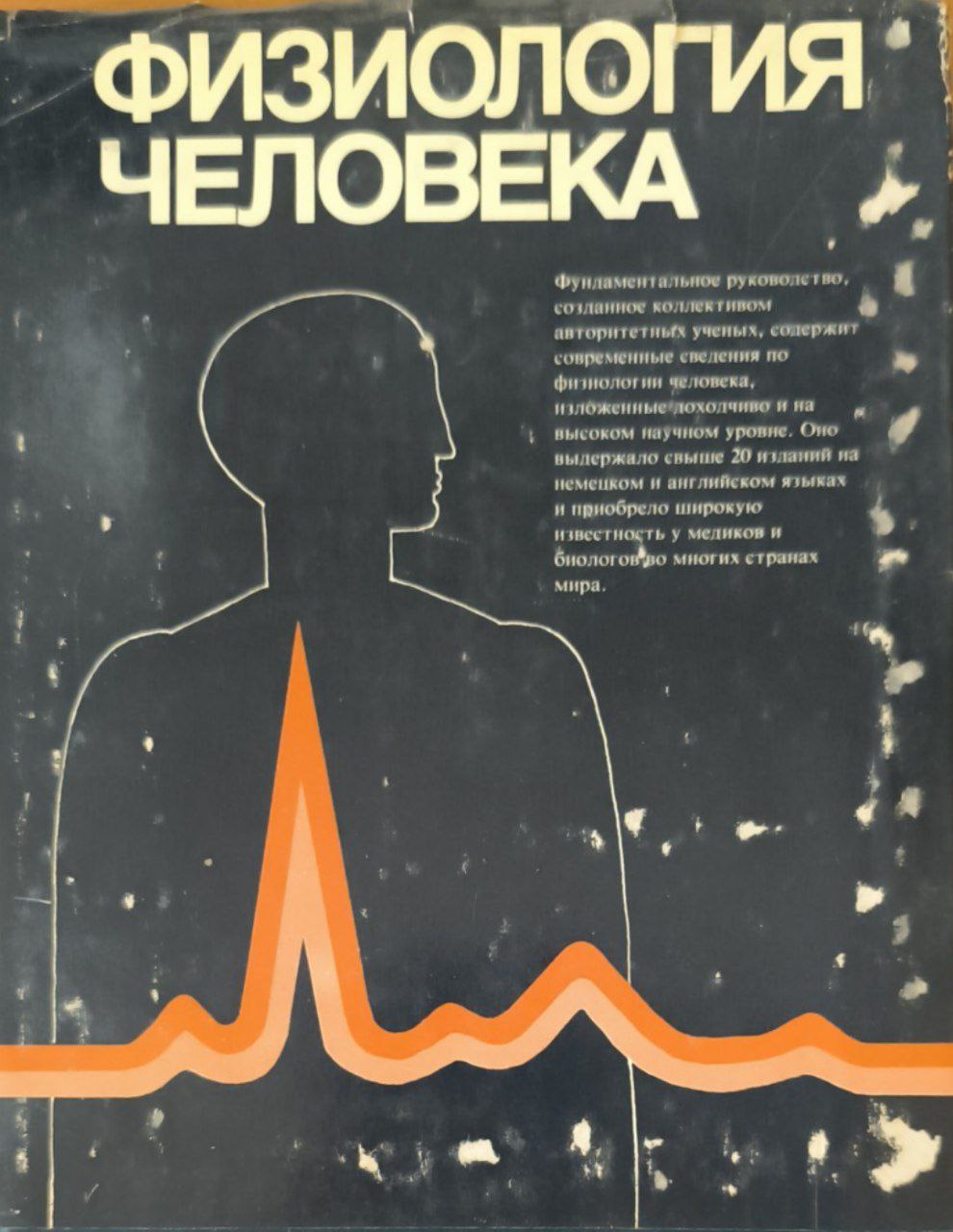 Физиология человека: в 4-ч томах. Т. 1. Нервная система