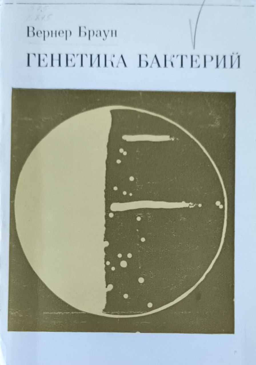 Генетика бактерий