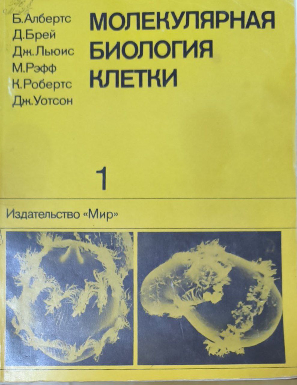 Молекулярная биология клетки: В 5-ти томах. Т. 1
