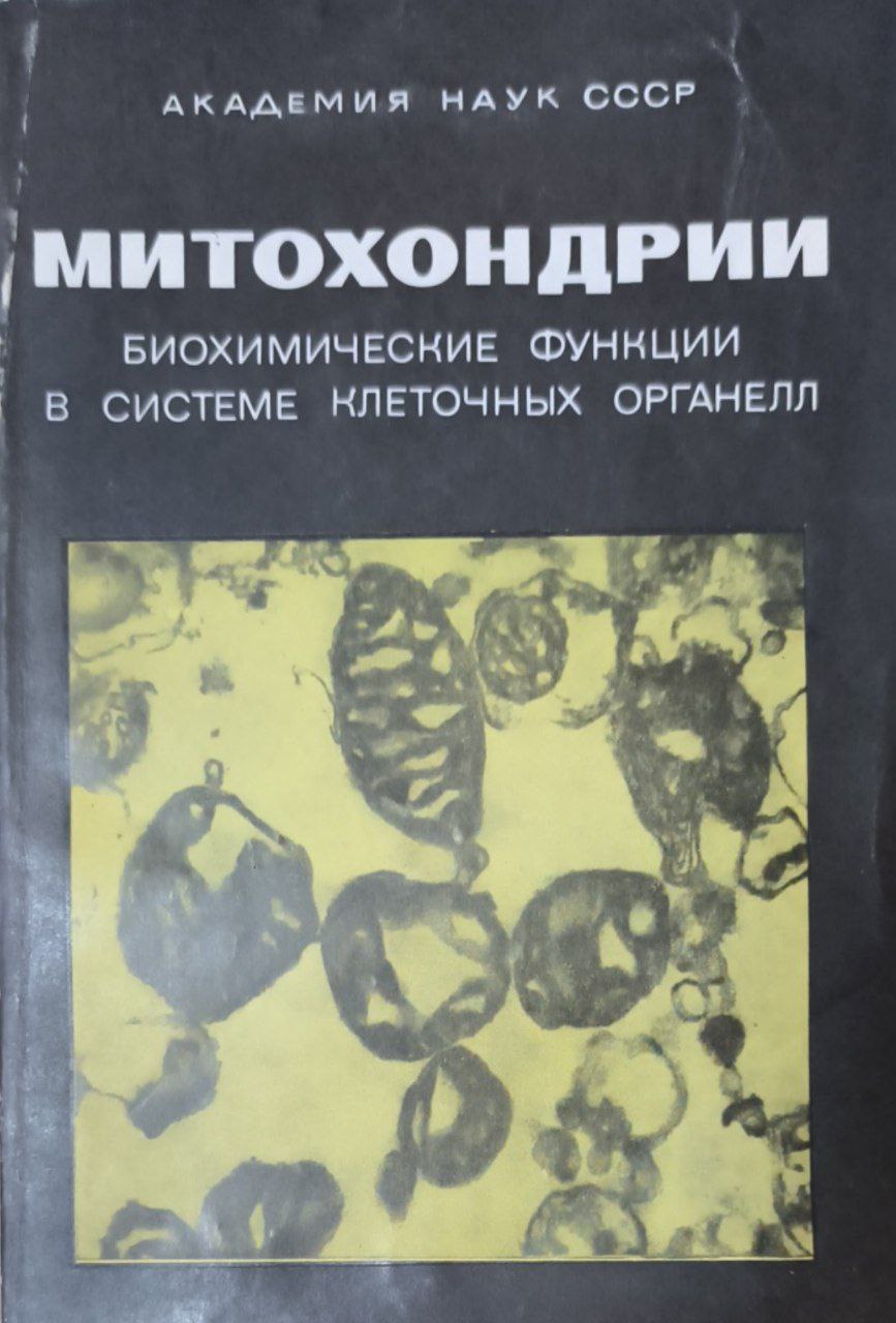 Митохондрии биохимические функции в системе клеточных органелл