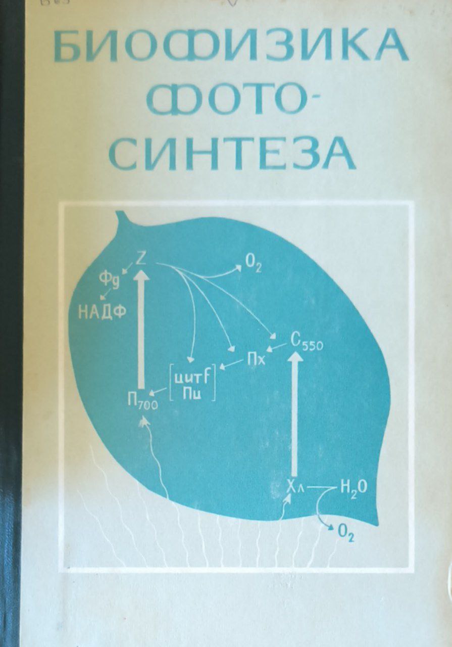 Биофизика фотосинтеза