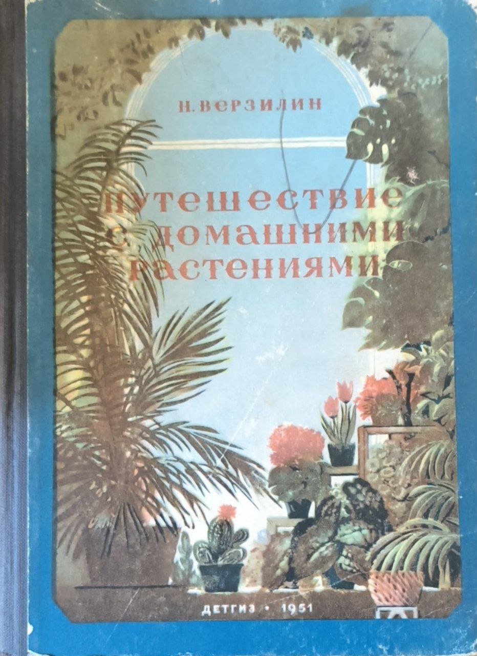 Путешествие с домашними растениями