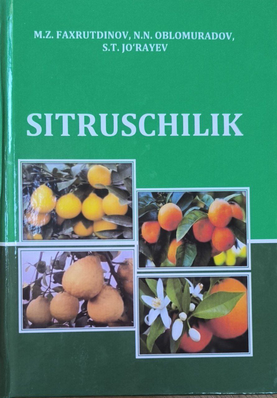 Sitruschilik