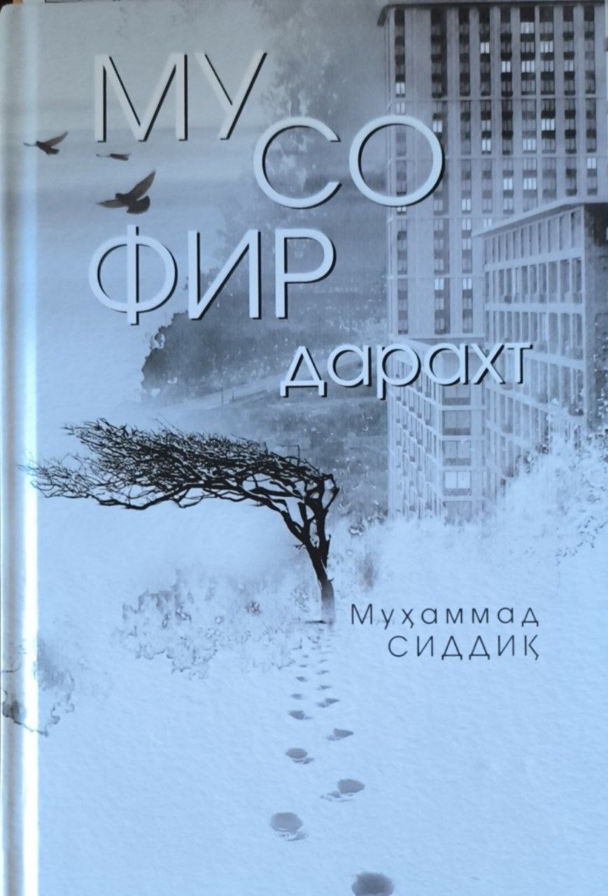 Мусофир дарахт