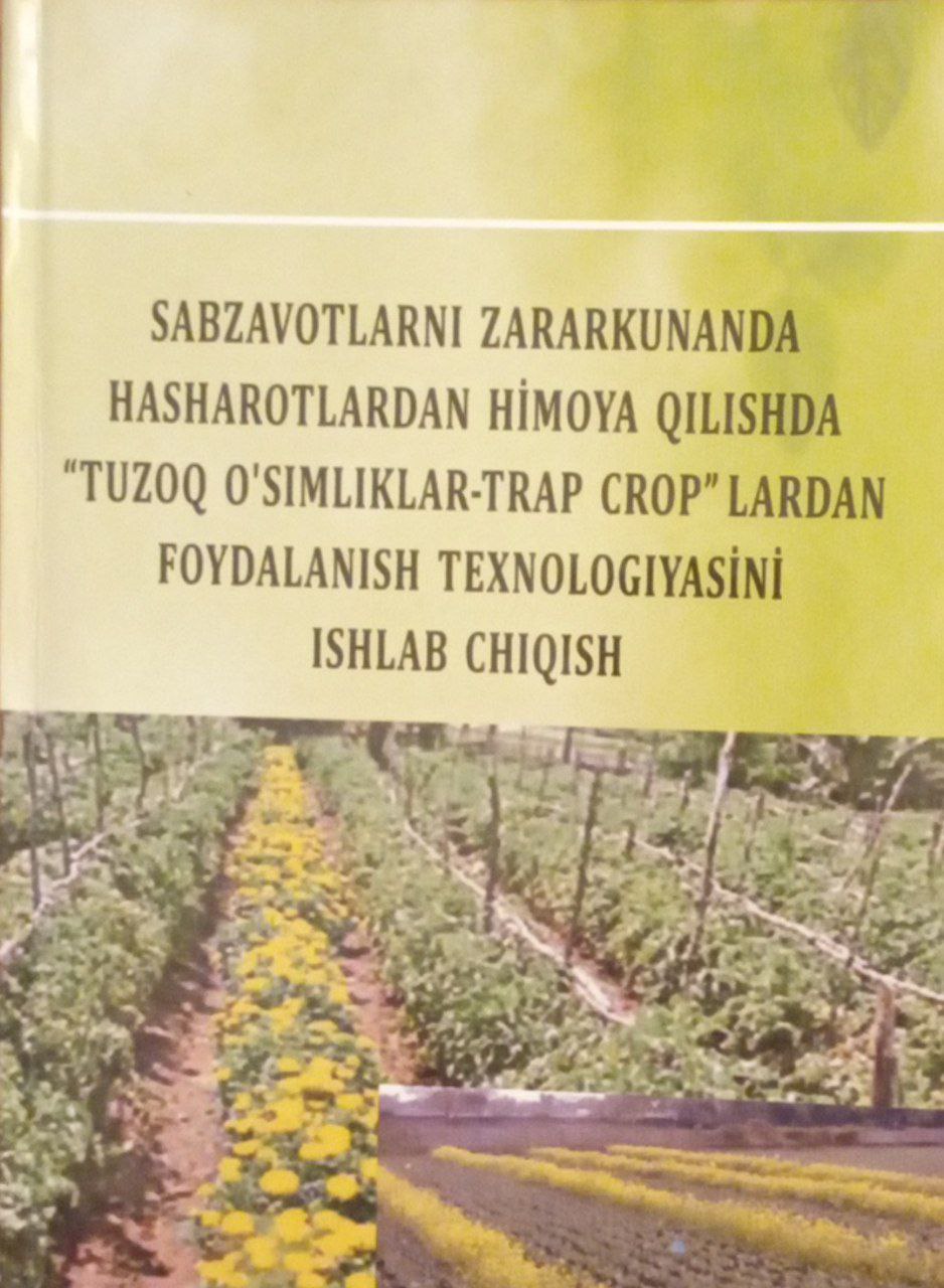 Sabzavotlarni zararkunanda hashoratlardan himoya qilishda tuzoq o'simliklar-trap croplardan foydalanish texnologiyasini ishlab chiqish