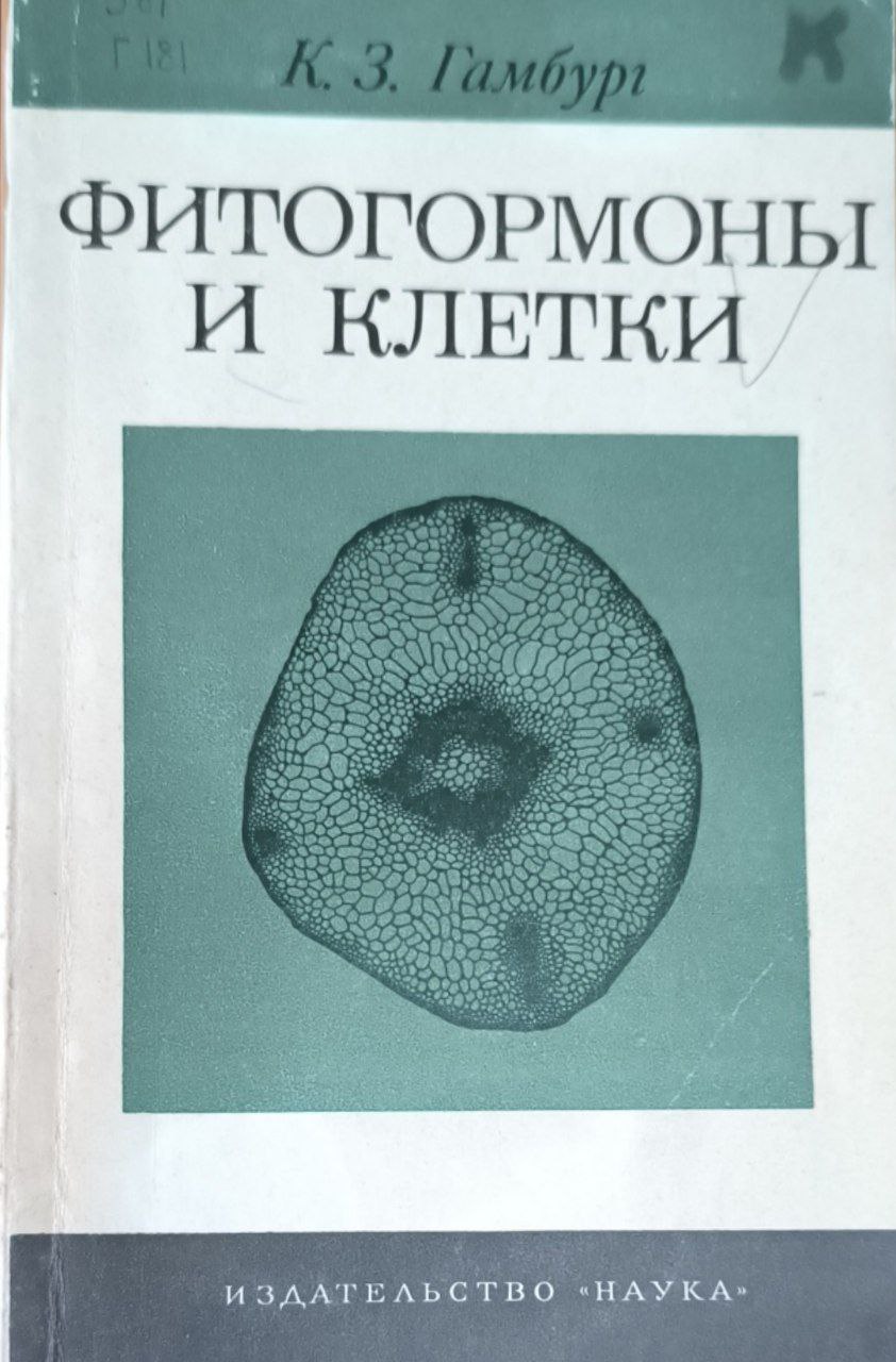 Фитогармоны и клетки