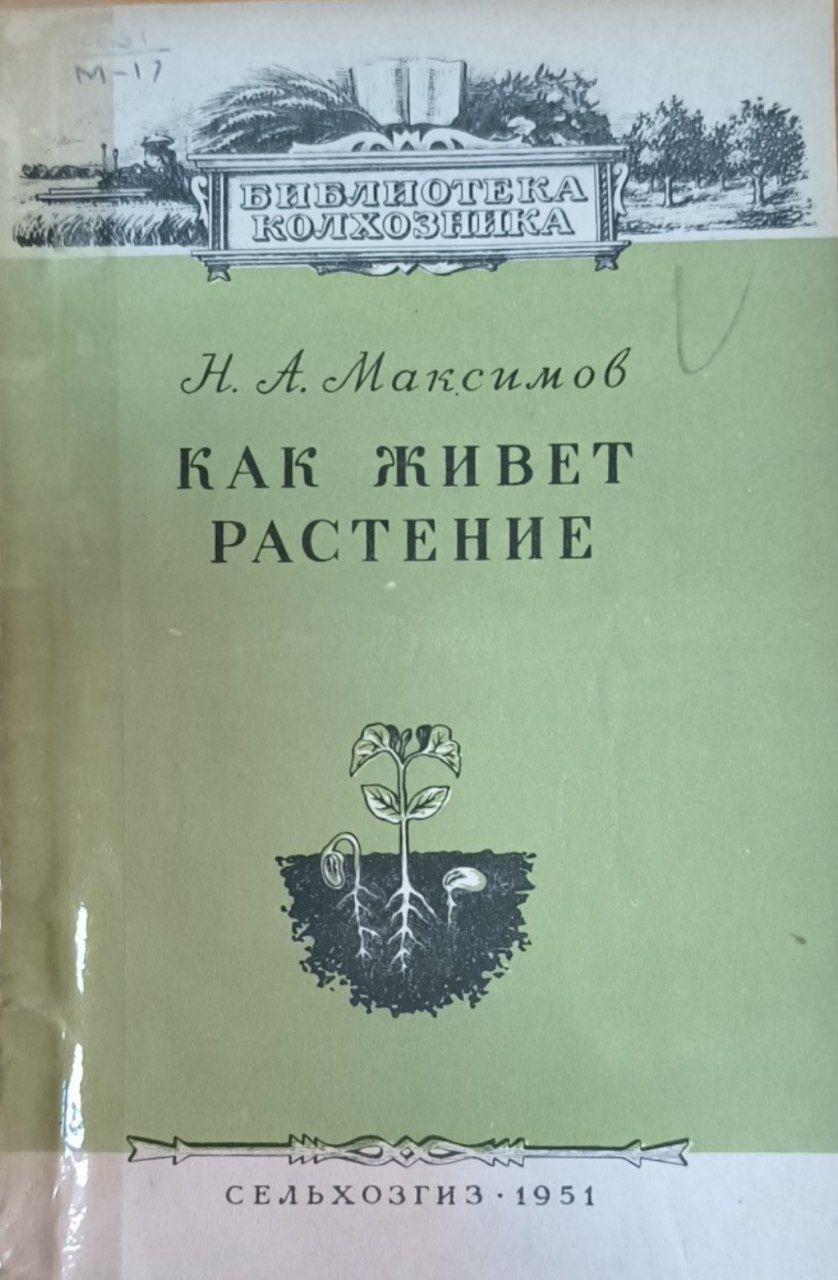 Как живет растение