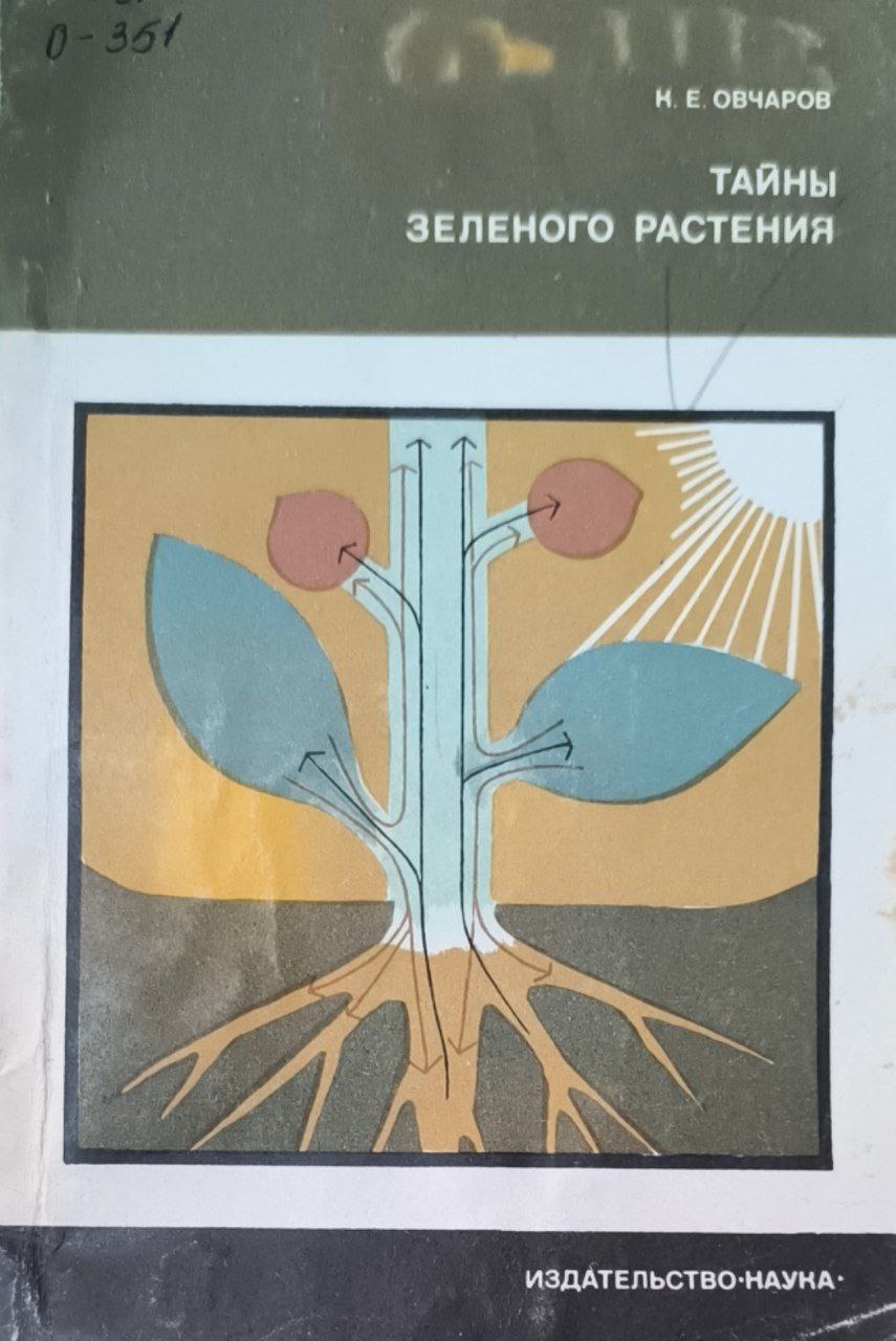 Тайны зеленого растения