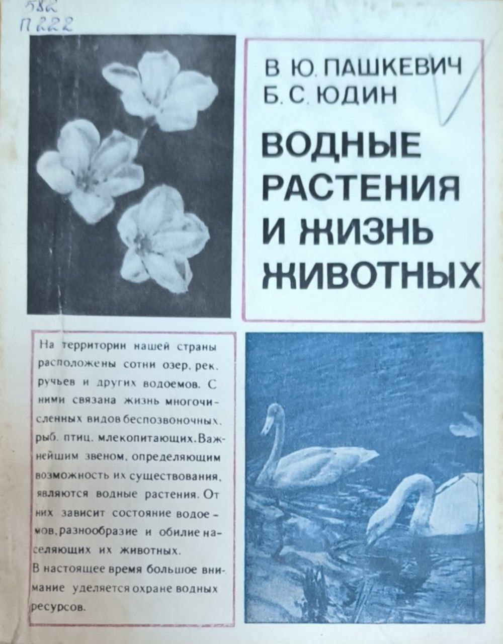 Водные растения и жизнь животных