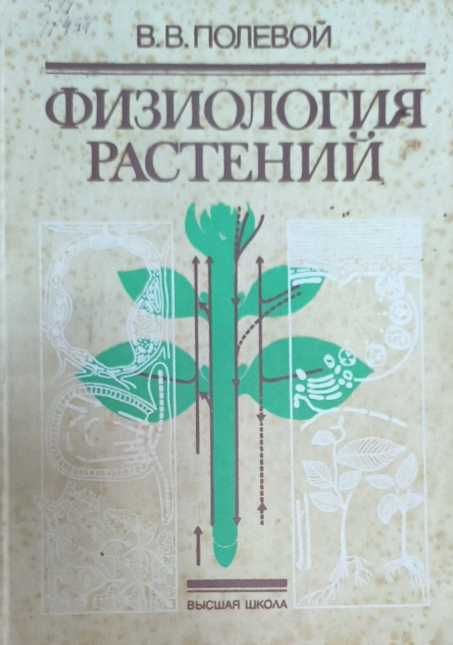 Физиология растений