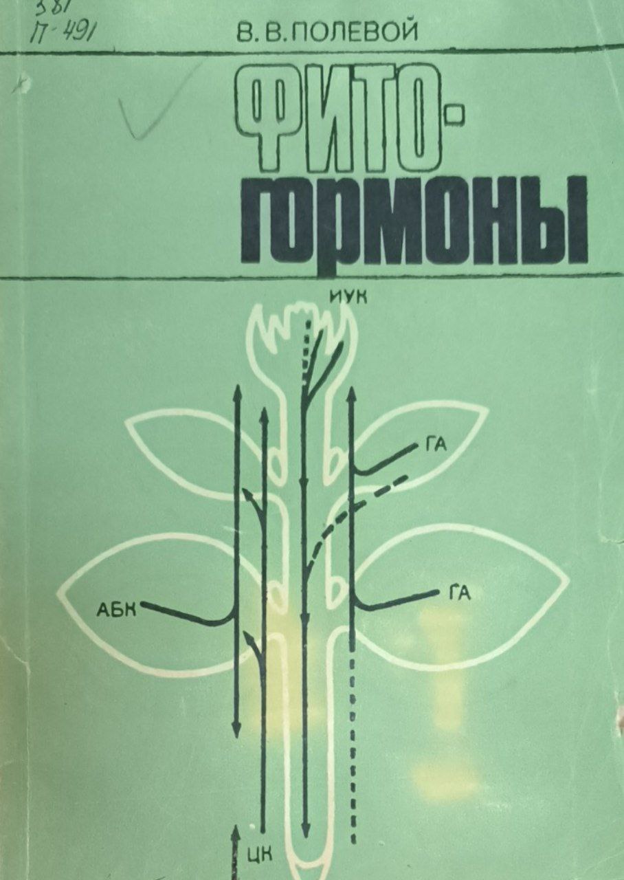 Фитогормоны