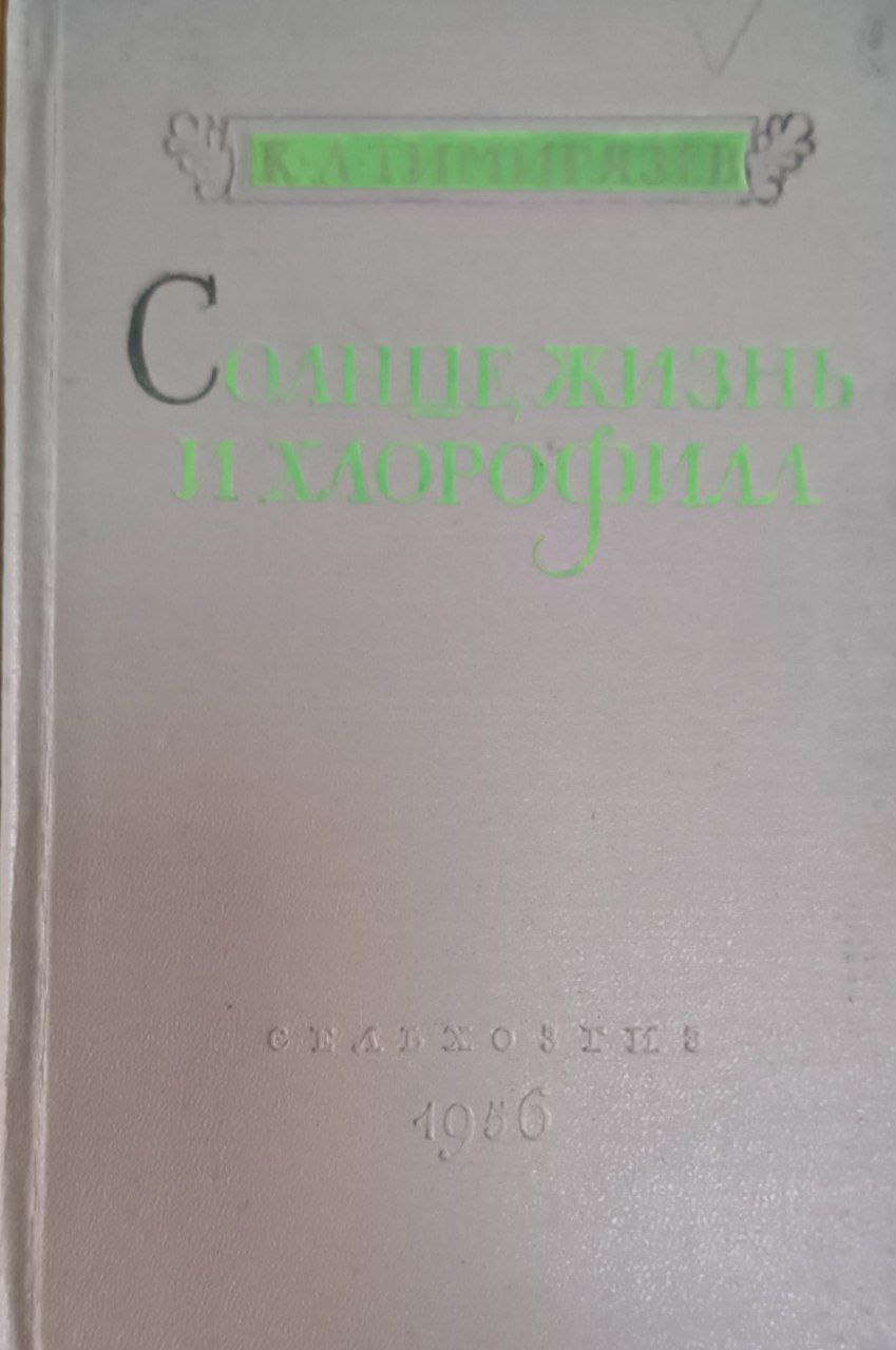 Солнце жизнь и хлорофилл