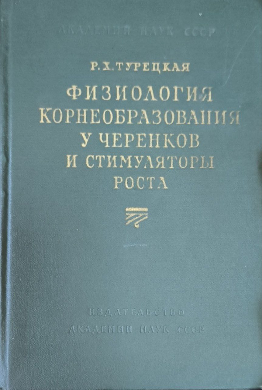 Физиология корнеобразования у черенков и стимуляторы роста