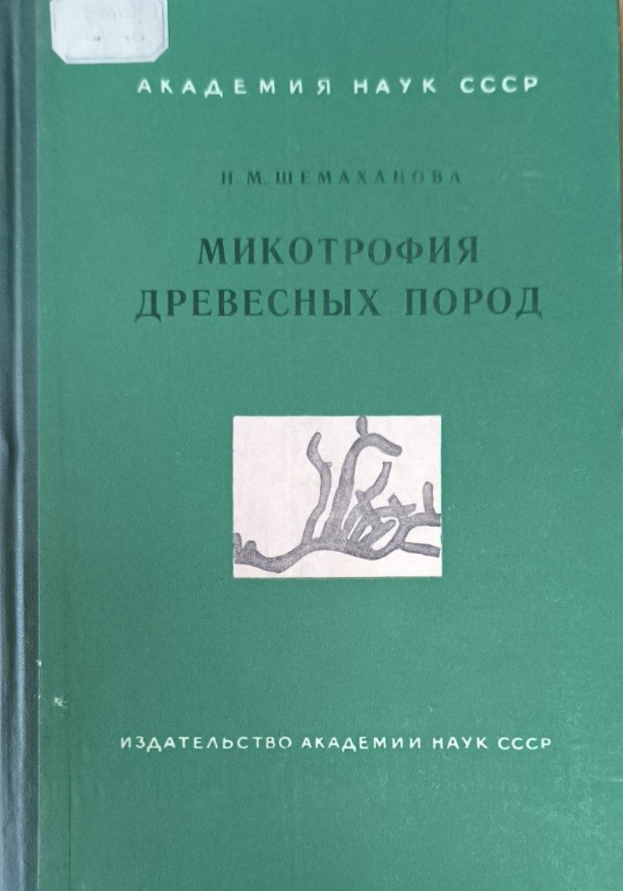 Микотрофия древесных пород