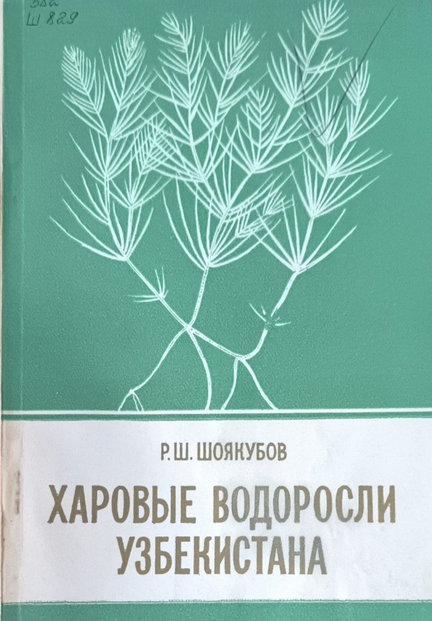 Харовые водоросли Узбекистана