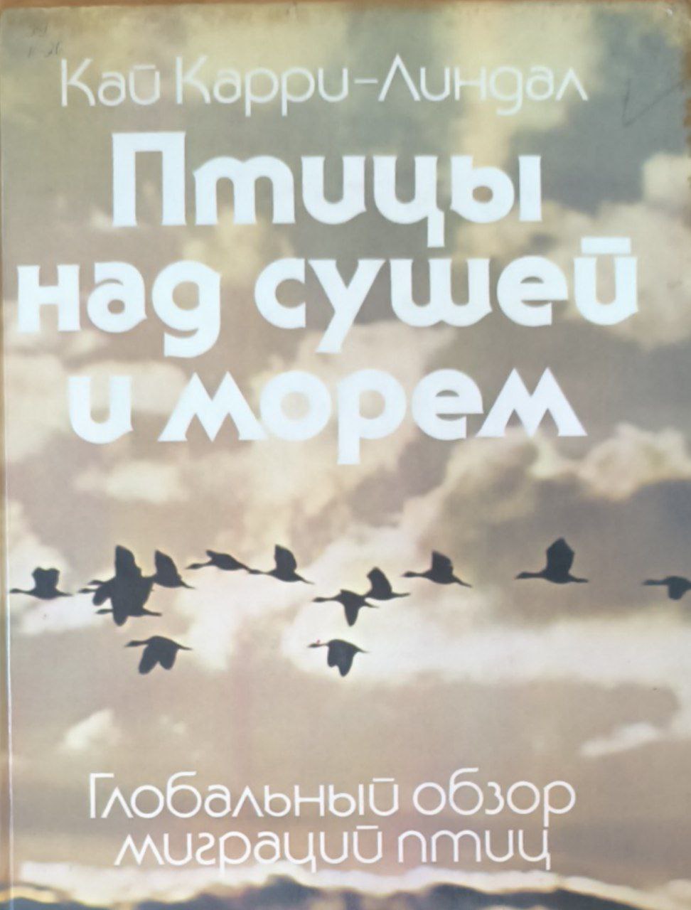 Птицы над сушей и морем