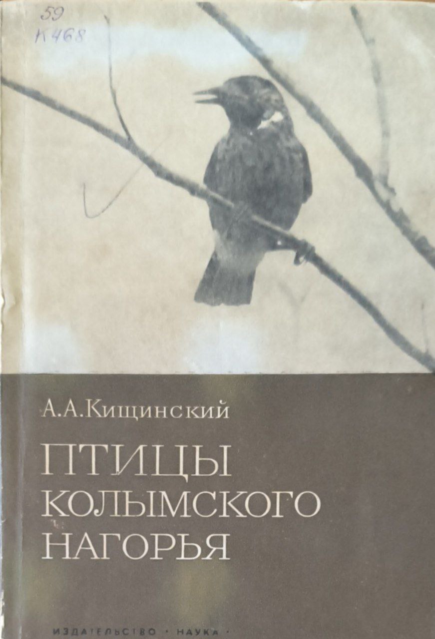 Птицы Колымского нагорья