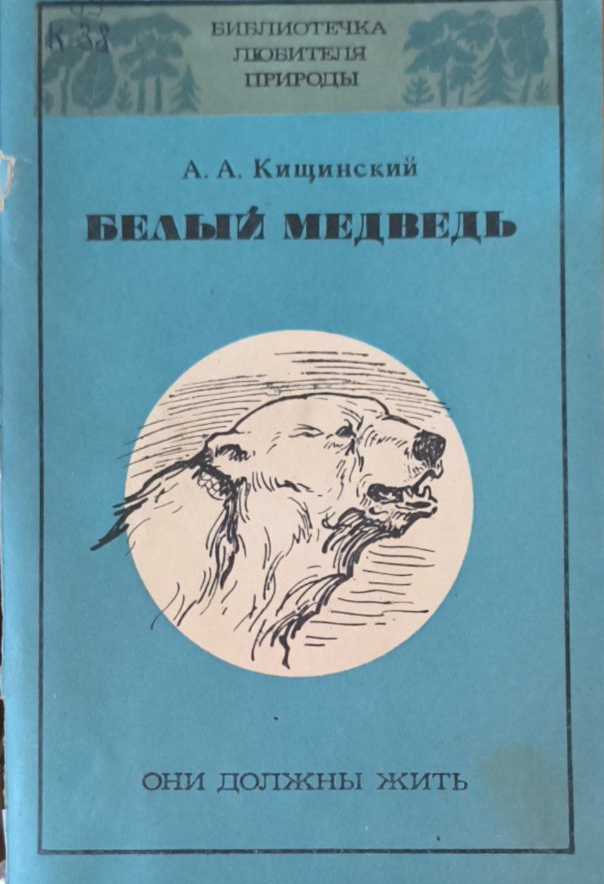 Белый медведь