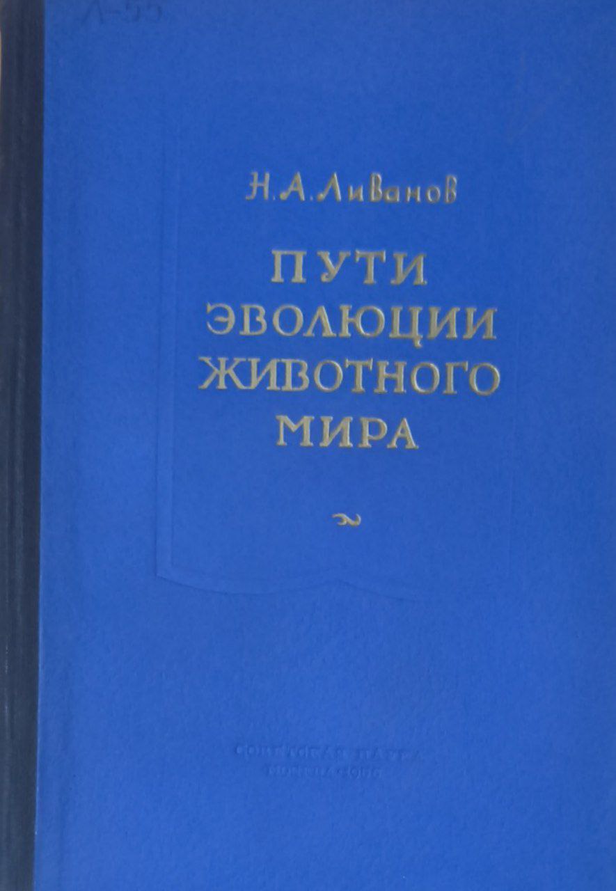 Пути эволюции животного мира. Анализ организации главнейших типов много-клеточных животных