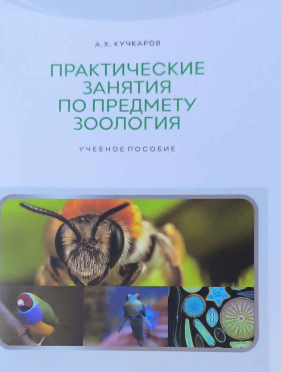 Практические занятия по предмету зоология