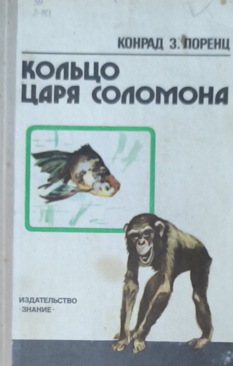 Кольцо царя Соломона