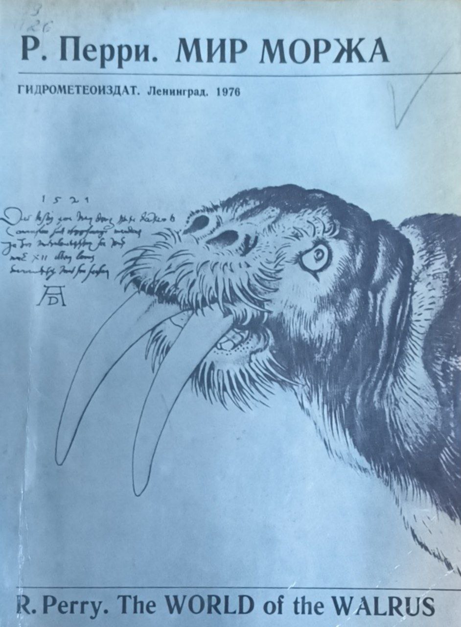 Мир моржа