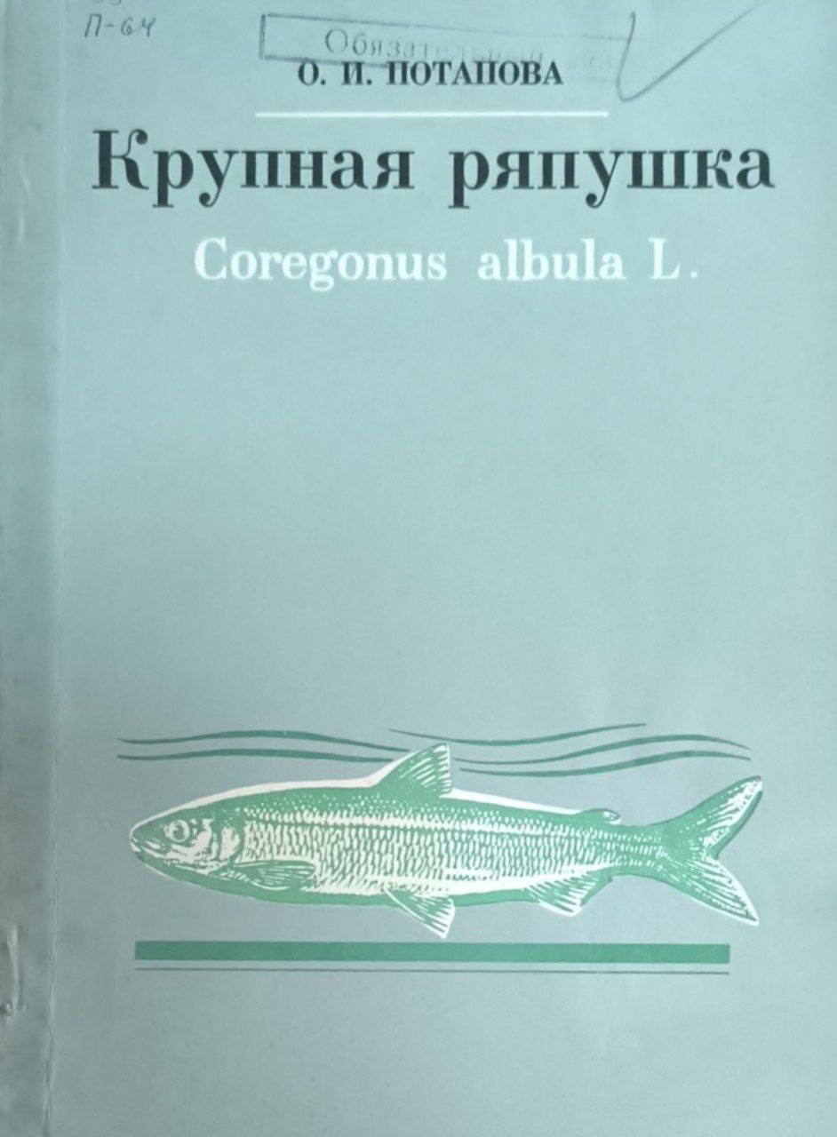 Крупная ряпушка Coregonus albula L.