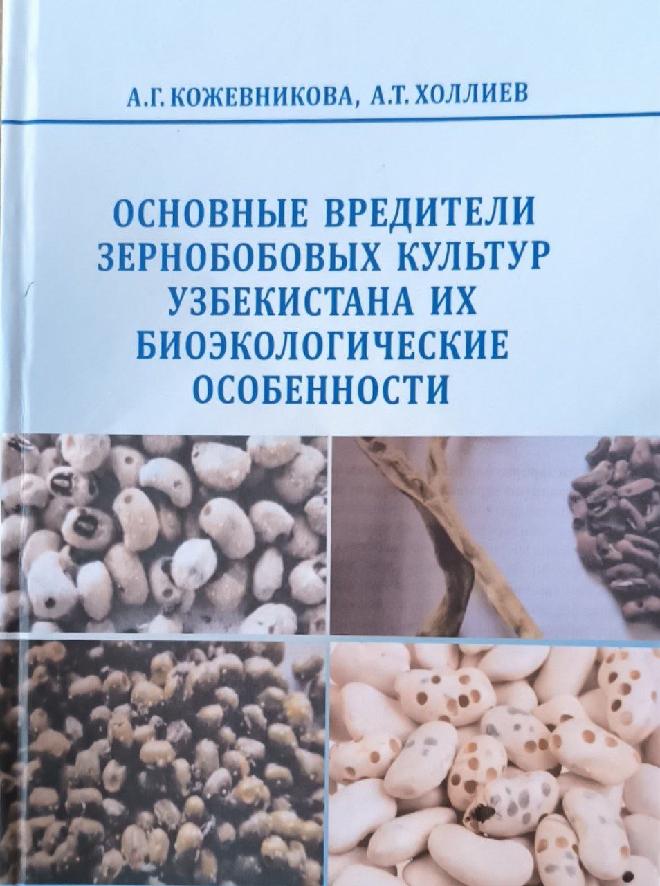 Основные вредители зернобобовых культур Узбекистана их биоэкологические особенности