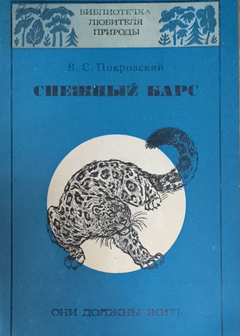 Снежный барс (ирбис)