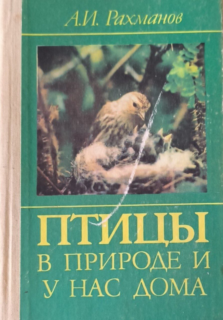Птицы в природе и у нас дома