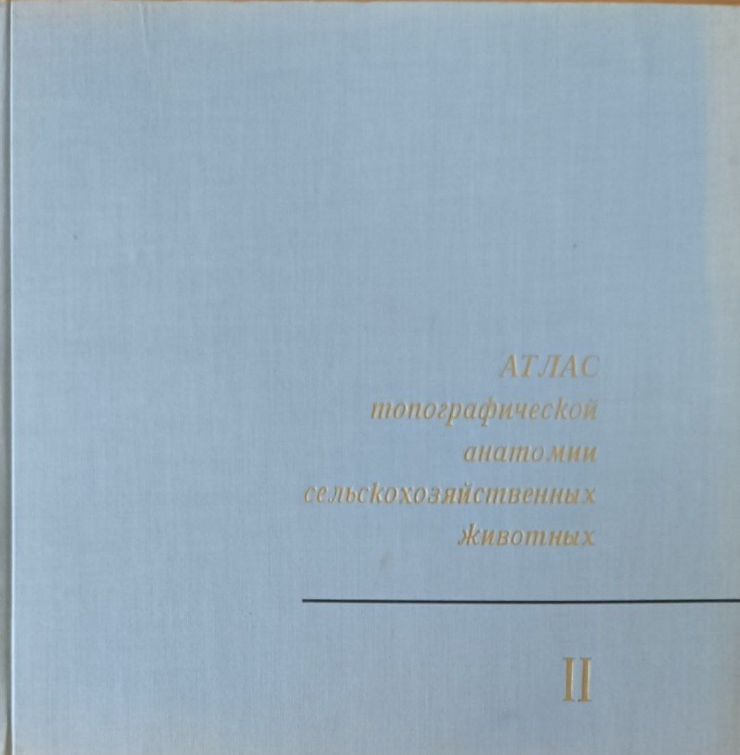 Атлас типографической анатомии сельскохозяйственных животных. Т.2. Туловище