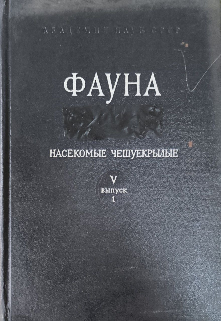 Фауна. Т.5. Насекомые чешуекрылые. Вып.1. Листовертки (Tortricidae). Триба плодорожки (Laspeyresini)