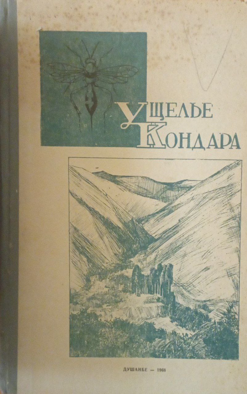 Ущелье Кондара. Кн. 2