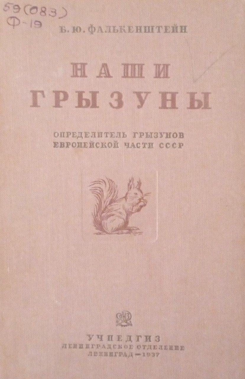 Наши грызуны